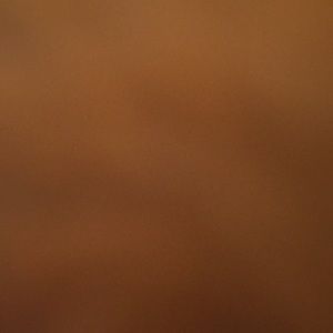 Meet your Posher, Melisa